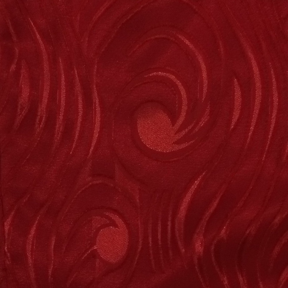 Red Skirt - Picture 2 of 3